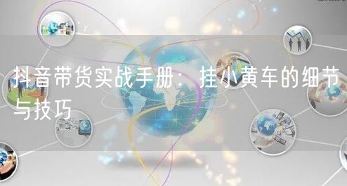 抖音带货实战手册：挂小黄车的细节与技巧